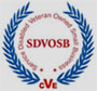 sdvosb.jpg